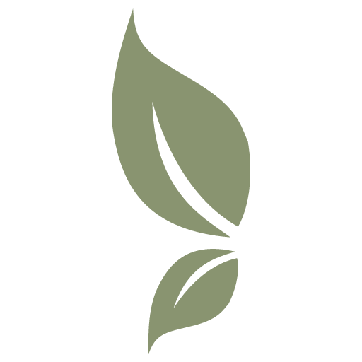 logo main